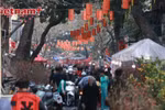Festive spirit of Tet in Hanoi’s Old Quarter 