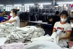Vietnam’s garment-textile exports expected to reach 44 bln USD 