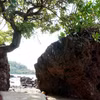 Gallery - Spectacular beauty of Da Do rocky coast in Quang Ngai - image 14