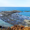 Gallery - Spectacular beauty of Da Do rocky coast in Quang Ngai - image 19