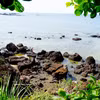 Gallery - Spectacular beauty of Da Do rocky coast in Quang Ngai - image 16