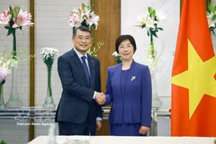 Prime Minister Le Minh Hung (L) receives President of the Asian Infrastructure Investment Bank (AIIB) Zou Jiayi on the sidelines of the 18th BRICS Summit in New Delhi, India, on September 12. (Photo: VNA)