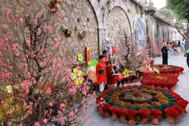 Vietnam is ringing in Tet (Traditional Lunar New Year) (Photo: VNA)