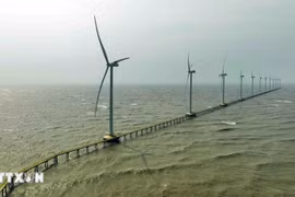 A wind power plant in Duyen Hai township, Vinh Long province (formerly part of Tra Vinh). (Photo: VNA)
