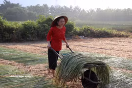 Tay Ninh villagers preserve traditional rural trades 