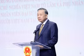 Top leader meets embassy staff, representatives of Vietnamese community in France