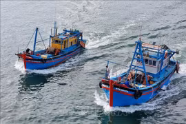 Fishermen have been required to install vessel monitoring systems (VMS) to track their movements. (Photo: VNA)