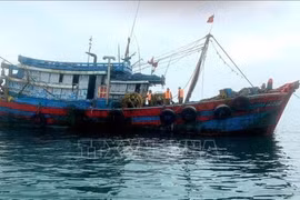 Can Tho launches the peak campaign against IUU fishing. (Photo: VNA)