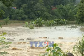 Lai Chau ramps up efforts to minimise flood losses