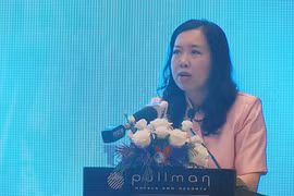 Deputy FM calls for strategic, inclusive communications for APEC 2027