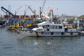 Competent forces patrol and inspect at Quy Nhon fishing port. (Photo: VNA)