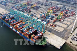 Bustling cargo scene at Tianjin Port, China (Photo: VNA)