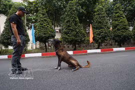 Service dogs strengthen security at major events