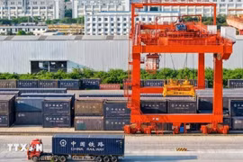 Goods are assembled at Nanning International Railway Port in Guangxi before being transported to Vietnam via the Vietnam–China international train. (Photo: VNA) 