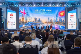 Vietnam seeks quality investment from UK businesses