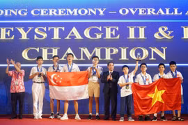 Vietnam and Singapore were named overall champions (Photo: VNA)