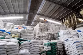Rice stock for export of Duong Vu Company in Long An province. (Photo: VNA)