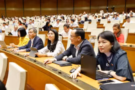 NA passes amended laws on corporate income tax, excise tax (Photo: VNA)