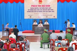 At the mock trial (Photo: VNA)