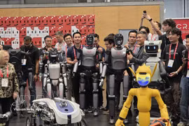 International cooperation advances Vietnamese science 