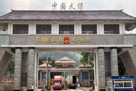 Container trucks cross the Tianbao port, a border crossing between China and Vietnam, in Malipo county, Wenshan prefecture, Yunnan province, China May 8, 2025. (Photo: REUTERS)