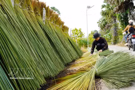 Mekong Delta residents transform bulrush grass into handicrafts
