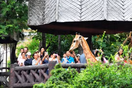 Visitors at a zoo in Bangkok (Photo: Xinhua/VNA)