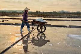 Salt makers endure harsh sun to preserve traditional craft 