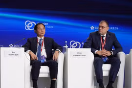 Deputy Prime Minister Bui Thanh Son at the forum (Photo: VNA)
