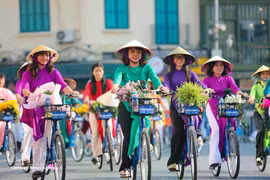 Vietnamese women shine with resilience, intellect, ambition