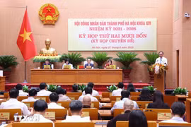 At the council's 24th session (Photo: VNA)