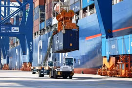 Loading goods at the Gemalink port in Ba Ria-Vung Tau province. (Photo: VNA).