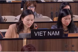 Ambassador Nguyen Thi Van Anh, Permanent Representative of Vietnam to UNESCO, presents the initiative at the meeting. (Photo: VNA)