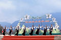 Vibrant Son tra blossom festival in Son La