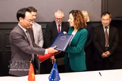 Vietnam, EU sign Letter of Intent on education and training cooperation