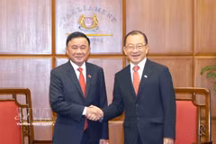 Vietnamese key leader meets Singaporean Parliament Speaker 