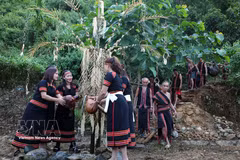M’Nong water trough worship ritual revived in Da Nang
