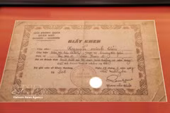 500-day campaign receives war memorabilia, martyr records