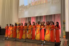 Lunar New Year: A warm embrace for every Vietnamese heart far from home