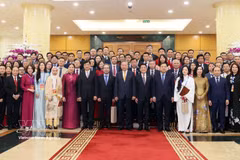 Overseas Vietnamese seen as strategic resource for national development