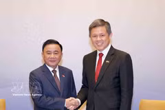 Singapore hosts official welcome ceremony for key Vietnamese leader Tran Cam Tu
