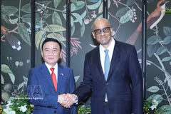 Key Vietnamese leader Tran Cam Tu meets Singaporean President Tharman Shanmugaratnam