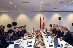 Vietnam, Denmark deepen business and investment cooperation