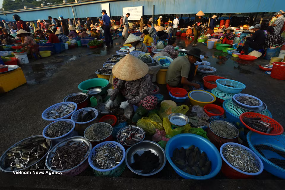 River and countryside specialities at the market. (Photo: Duy Khuong/VNA)