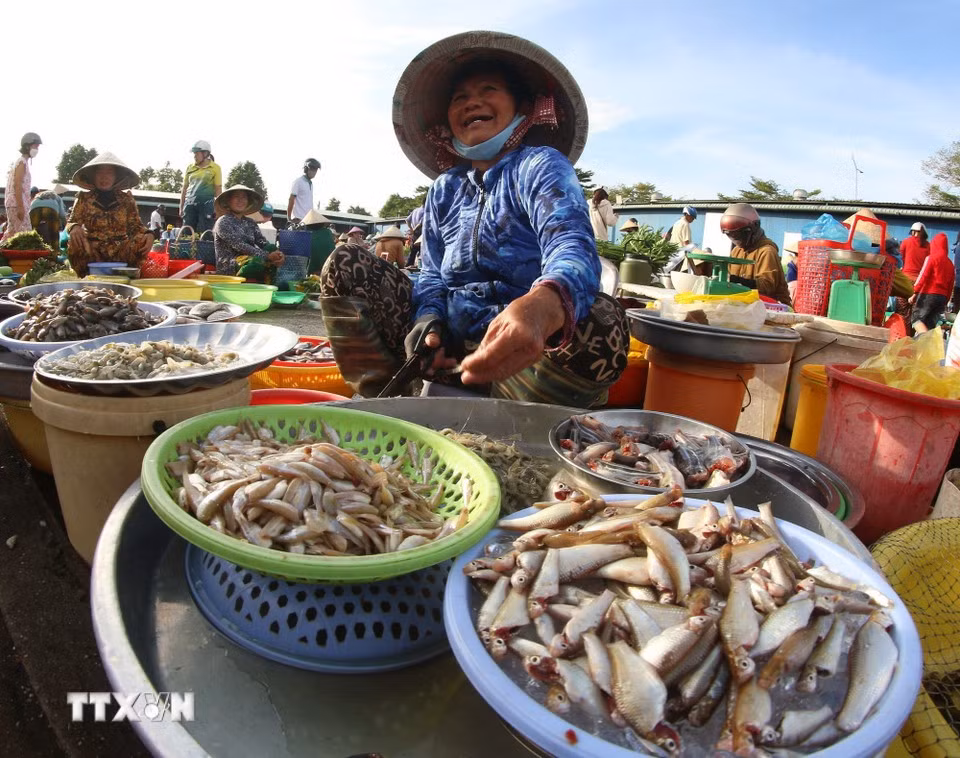 Vi Thanh’s squat traditional market preserves the charm of rural life amid the city’s ongoing transformation. (Photo: Duy Khuong/VNA)