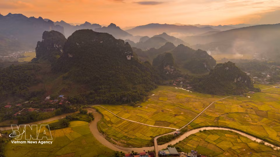 Ripening rice turns the fields golden between the surrounding mountain ranges in Chieng Sinh valley. (Photo: Xuan Tu/VNA)