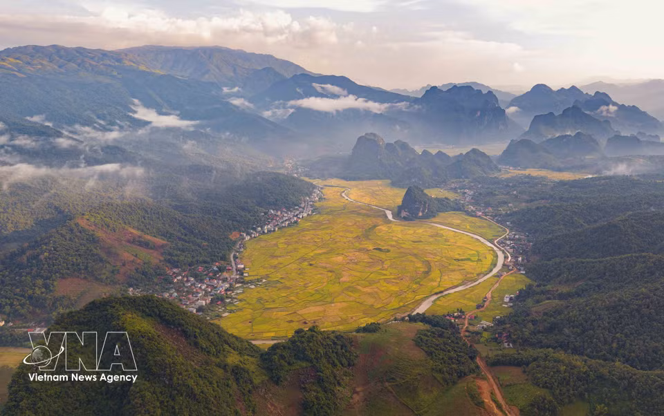 Ripening rice turns the fields golden between the surrounding mountain ranges in Chieng Sinh valley. (Photo: Xuan Tu/VNA)