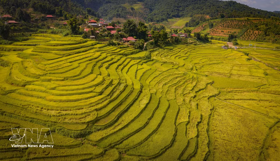 Terraced rice fields stretch alongside a village inhabited by the Thai ethnic community in Chieng Sinh. (Photo: Xuan Tu/VNA)
