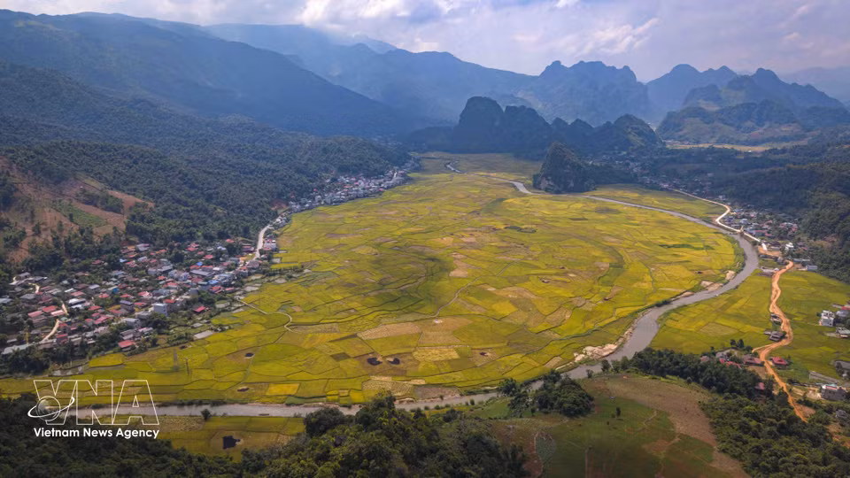 A panoramic view of ripening rice fields surrounded by mountain ranges and villages in Chieng Sinh commune, Dien Bien province. (Photo: Xuan Tu/VNA)