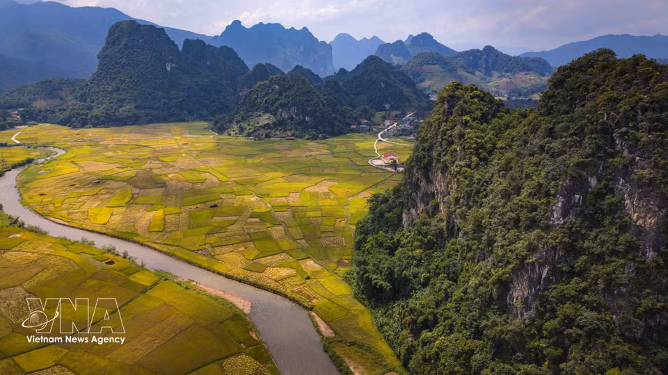 A winding river runs through ripening rice fields at the foot of the mountains in Chieng Sinh. (Photo: Xuan Tu/VNA)